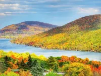 Amazing Cabin in the Finger Lakes!  Hiking, Wineries, Restaurants..Etc!  Pets ok