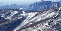 Rosie's Retreat: Cozy 3 BR, 3 Bath Condo in Wintergreen Resort, 1 mile to slopes
