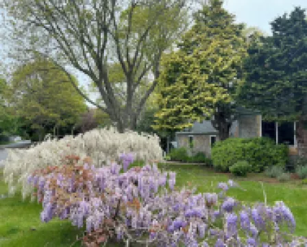 Studio Apartment at The Shire - Cape Cod 이스트 팰머스 호텔