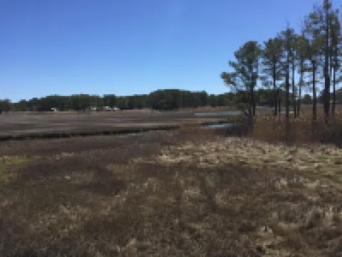 Tranquil Shores - Relaxation With a Water View!