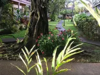 1 bedroom condo, kitchen, lanai, Princeville