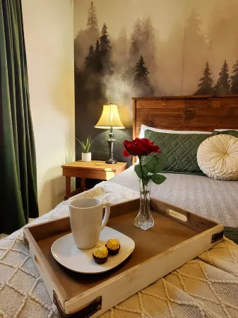 Dog friendly cabin. Peaceful nature getaway.