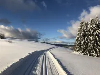 Spacious, idyllic vacation apartment with 2 balconies Hotels in Mauth