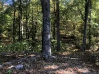 The Prefect Retreat!