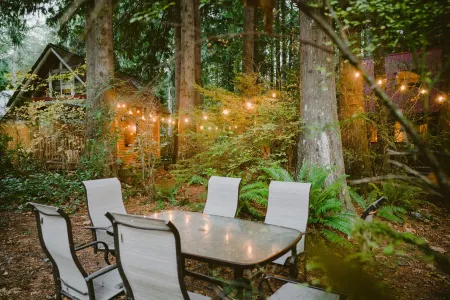 Wild Lily Cabin Retreat