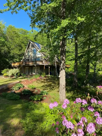 Perfect family retreat in the White Mts., Pool & Tennis Court, Dogs OK!