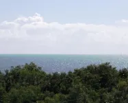 Luxury Condominium In Key Largo... Sunsets, Marina