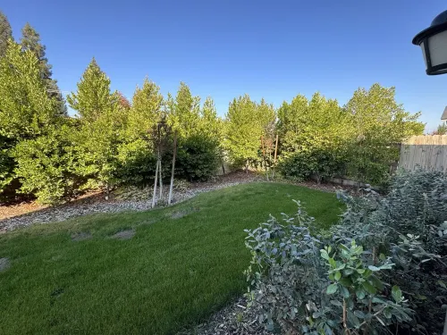 New 4B Home / Sequoia, EV, +More - キッチン