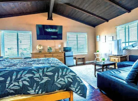 Studio Suite with Private, Secured Entrance, No Shared Spaces, Driveway Parking