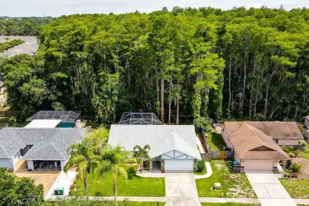 Paradise in Palm Harbor l Pool l Newly Renovated l Family Friendly