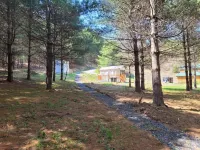 Gavin Cabin