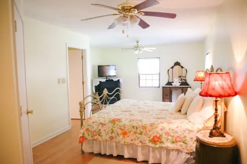 FARM ANIMALS: RESCUES, Mini HORSES and mini DONKEYs;