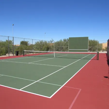 Foothills Ranch House in Casas Adobes, 8 ac estate with Pool, Tennis, Pickleball
