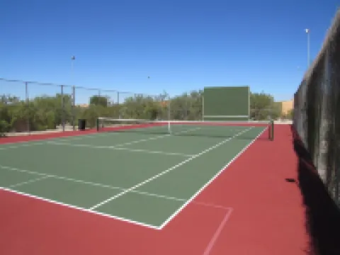 Foothills Ranch House in Casas Adobes, 8 ac estate with Pool, Tennis, Pickleball