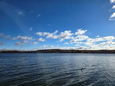 Spacious 4-bedroom house on Conesus Lake. 110 feet of lakefront with hot tub Отели в г. Ливингстон