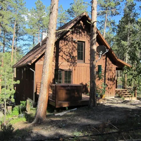 ShadyPines Cabin In The Black Hills w/Hot Tub & Centrally Located to Attractions