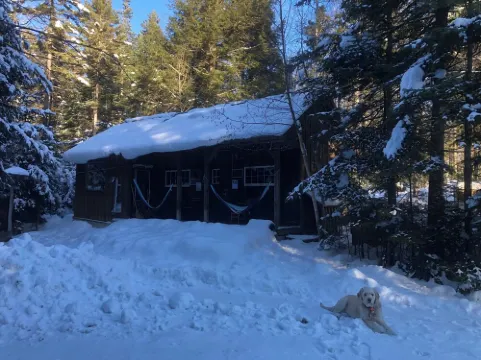 Cabin-7 Minutes to Ski Stratton-Woodstove-Firepit-Brook on Property-Views-Dog OK