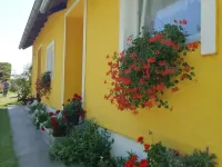 Apartment Čeliković Hotel a Gajic