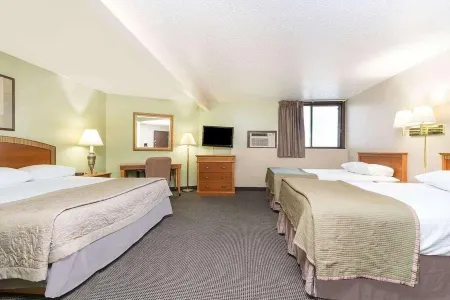 Bison Inn and Suites