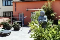 BioBenessere B&B Hotel in zona Piazza Grande