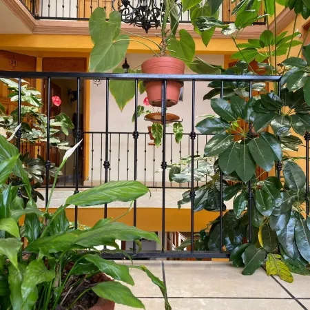 Hotel Posada Camelinas