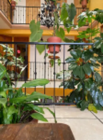 Hotel Posada Camelinas