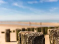 Apartment in Domburg Near the Beach