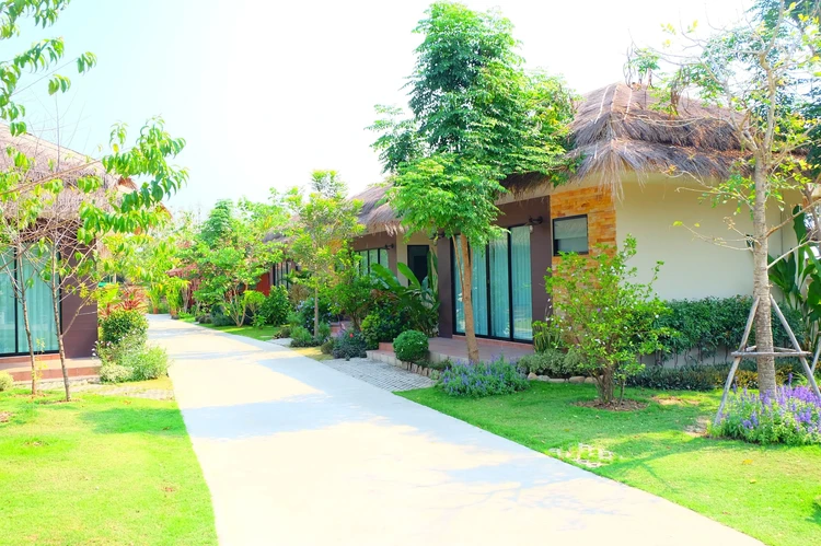 รูปภาพของปาป๊าโฮม แอนด์ แรบบิทคาเฟ่