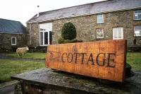 Waunwthan: B&B Suites Hotels in Llangeler