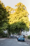 Hotel Alscher Hotels in Odenthal