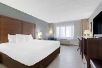 Clarion Hotel & Suites BWI Airport North Hotels in Anne Arundel County