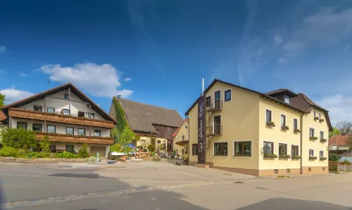 Landhotel Zum Goldenen Kreuz Hotels in VohenstrauB