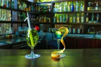Camellia Resort and Spa -Sigiriya - bar
