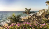 Royal Palm Resort & Spa - Adults Only Hotels in La Pared