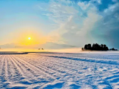 Farm To Table NORICHIE