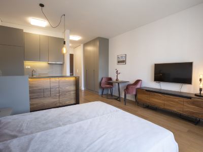 Belgrade Center Apartment Lux