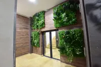 Grey Residence Apartaments