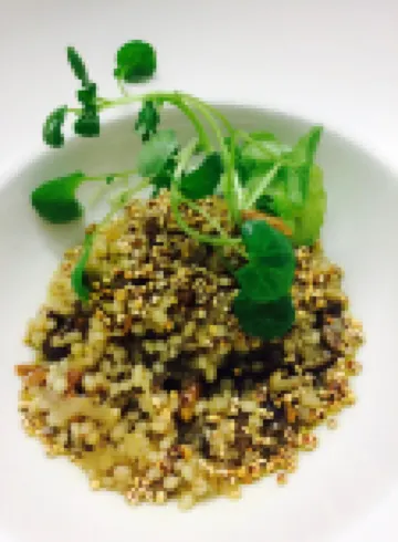 Hotel Aateli Hillside = 阿特利山坡酒店