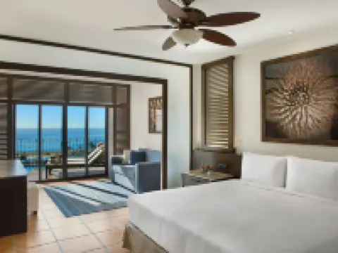 ハイアット シーヴァ ロス カボス オールインクルーシブ ロス・カボスのホテル