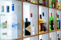 樂菲奇特酒店 - 酒吧