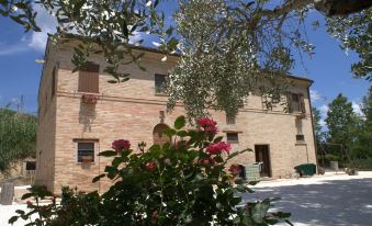 Casa il Girasole Con Piscina Nelle Marche