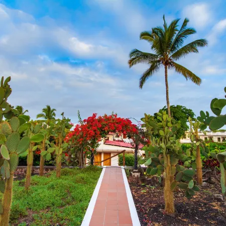 Hotel Fiesta