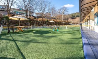 Gapyeong Highmong Pet-Friendly Kids Pool