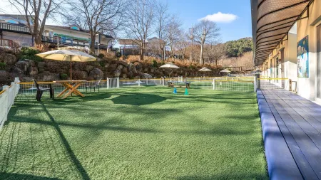 Gapyeong Highmong Pet-Friendly Kids Pool Отели рядом с достопримечательностью «Garden of Morning Calm»