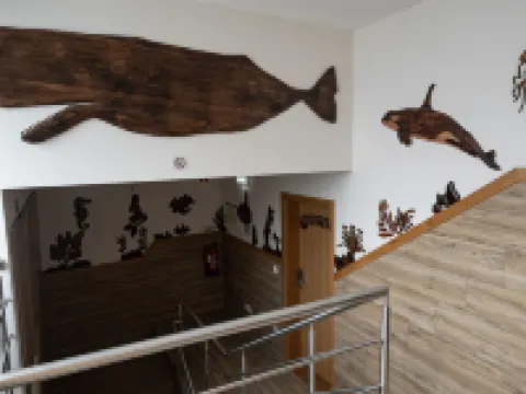 ネレイダ オルタのホテル