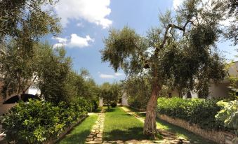 Apartment Ulivo with Pool and Private Beach
