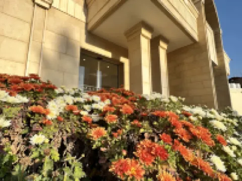 エドム ホテル ペトラのホテル