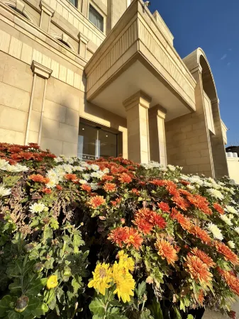 Edom Hotel Отели в г. Петра