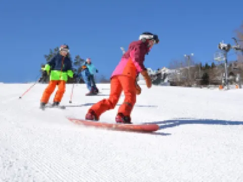 Mountainaire Inn and Log Cabins Hotels in Blowing Rock