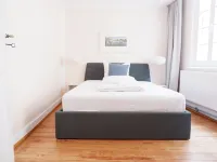 3-Zimmer Apartment Mit 2 Bädern am Marktplatz Hotels in Tubingen